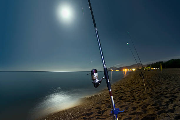 Night Fishing Equipment – The Tackle Supermarket