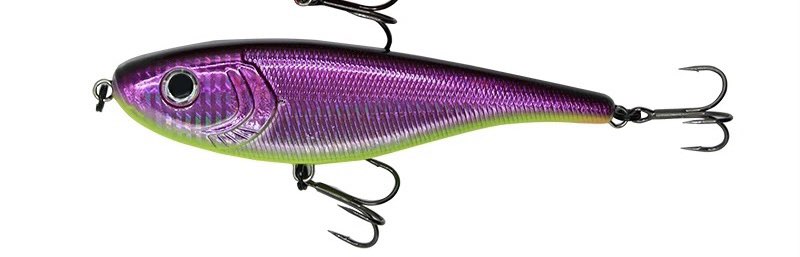 Saltwater Rattling Sinking Jerkbait 6.69” 2.88oz